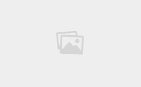 Hubei Dark Tea Brands Compared: 2026 Buyer's Guide