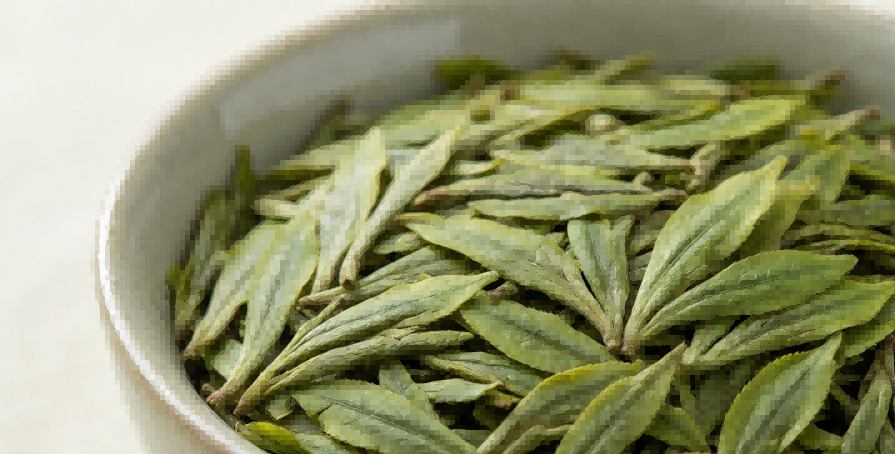 Zhejiang green tea leaves ready for processing and brewing